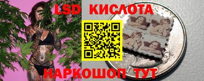 прущие грибы Гусиноозёрск