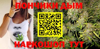 прущие грибы Гусиноозёрск