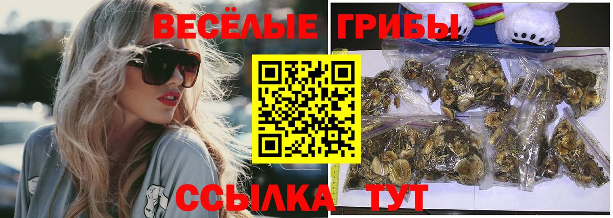 Псилоцибиновые грибы Psilocybe Мелеуз
